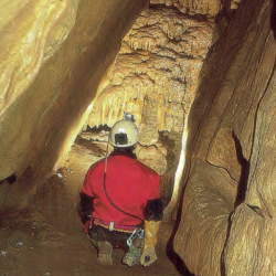 Cueva de la Sima